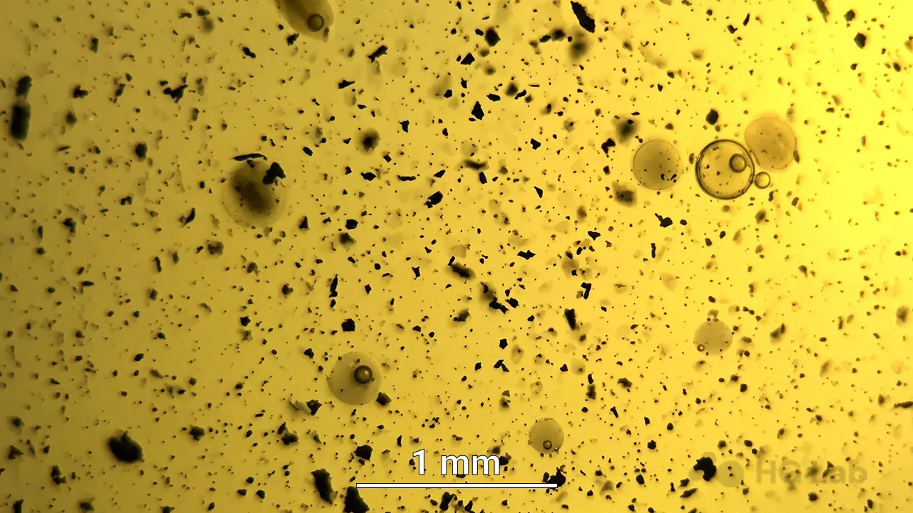 oils analysis